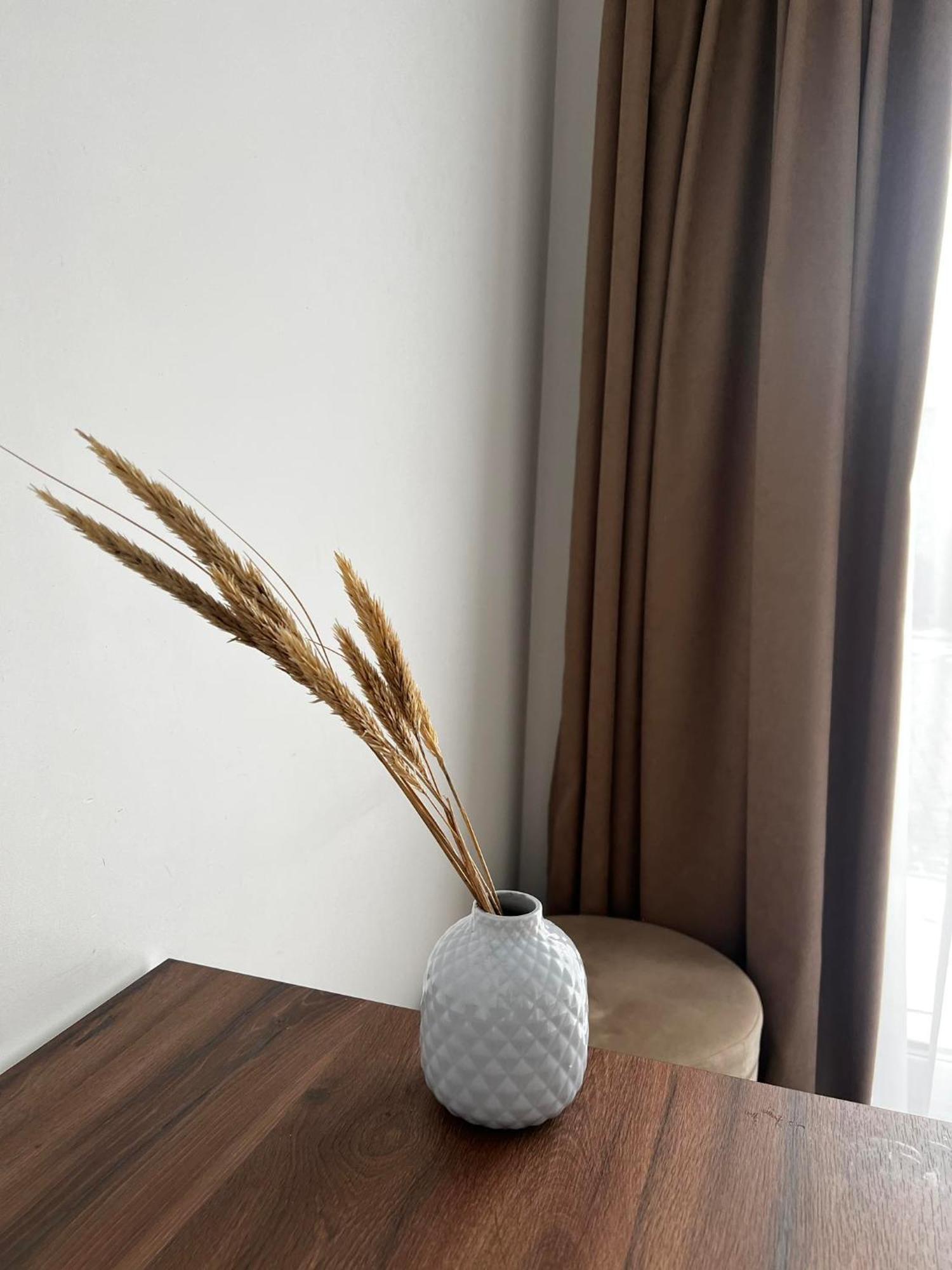 Izabeles Apartamentai Palanga Ngoại thất bức ảnh